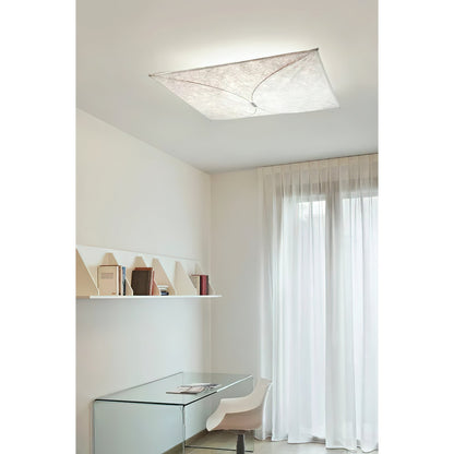 Kite Wall & Ceiling Light