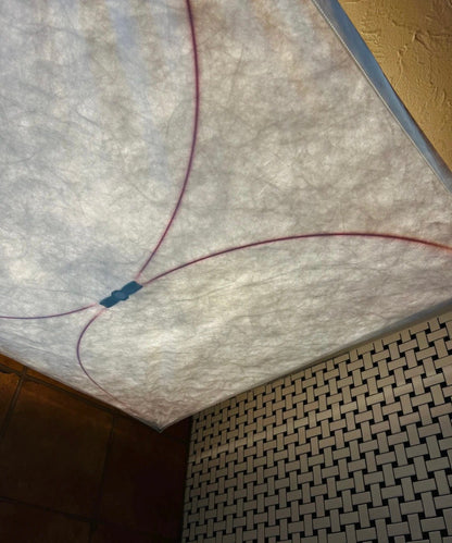 Kite Wall & Ceiling Light
