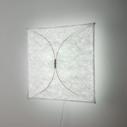 Kite Wall & Ceiling Light