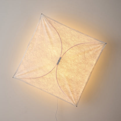 Kite Wall & Ceiling Light