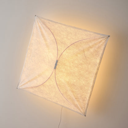 Kite Wall & Ceiling Light