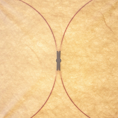 Kite Wall & Ceiling Light