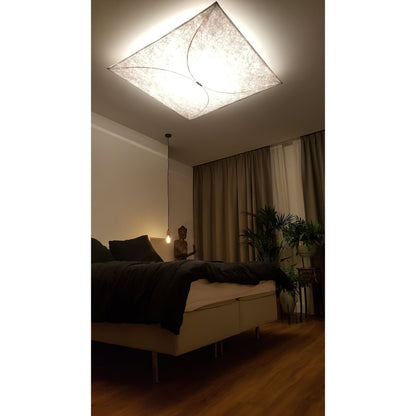 Kite Wall & Ceiling Light