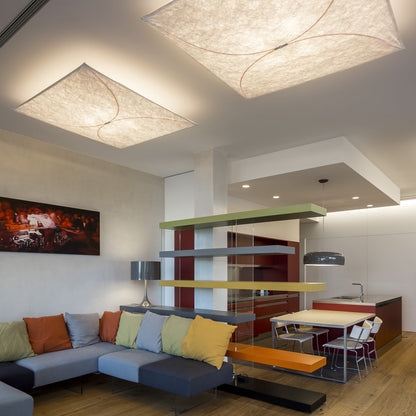 Kite Wall & Ceiling Light