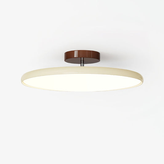 Pivot Ceiling Light