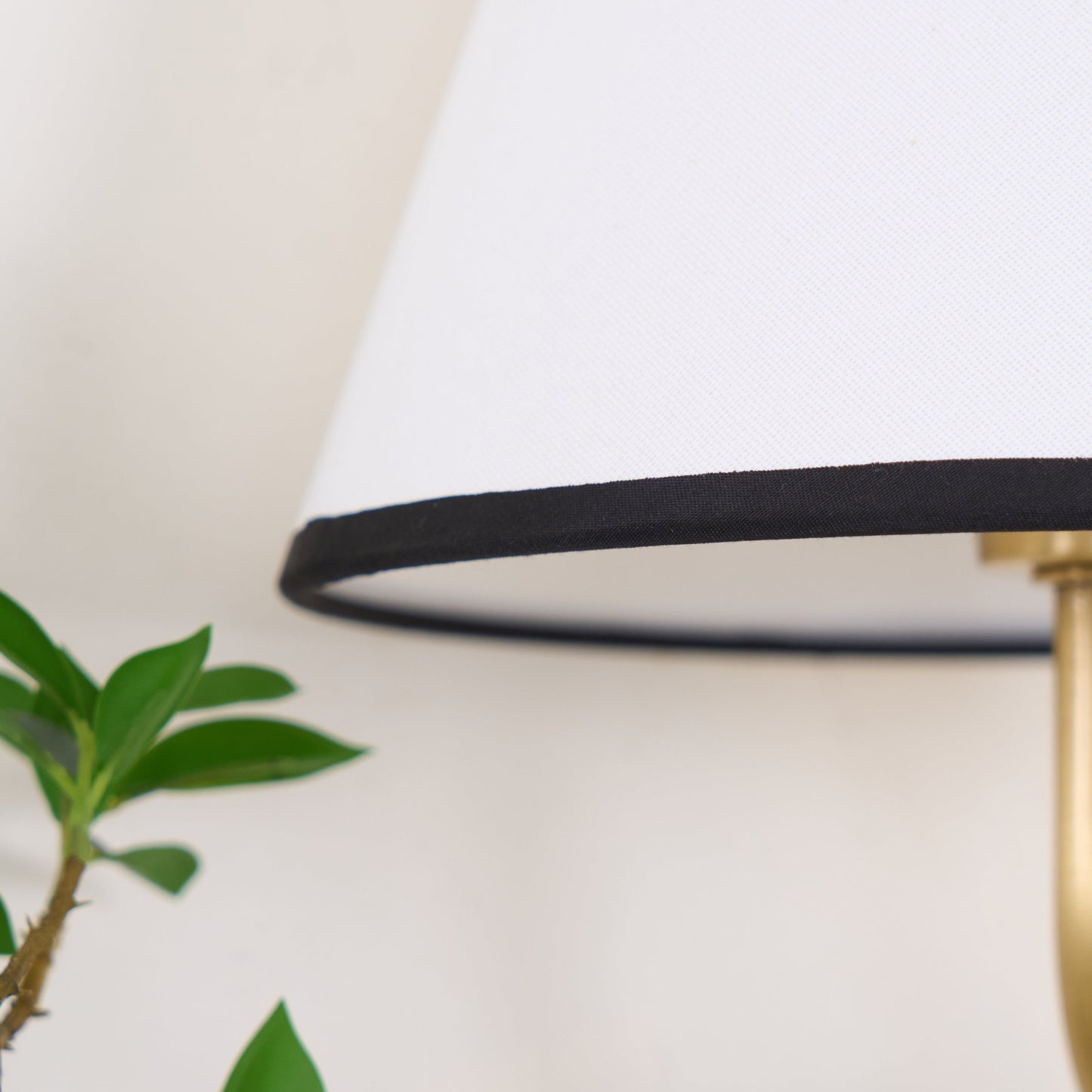 Contour Wall Sconce