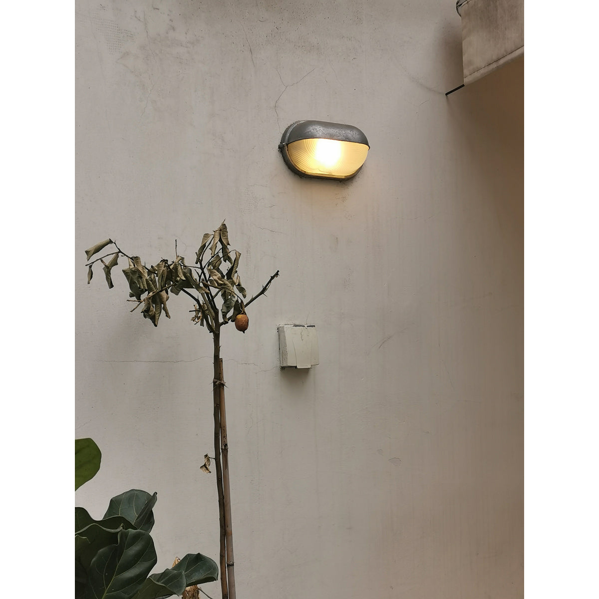 Reeve Outdoor Bulkhead Light