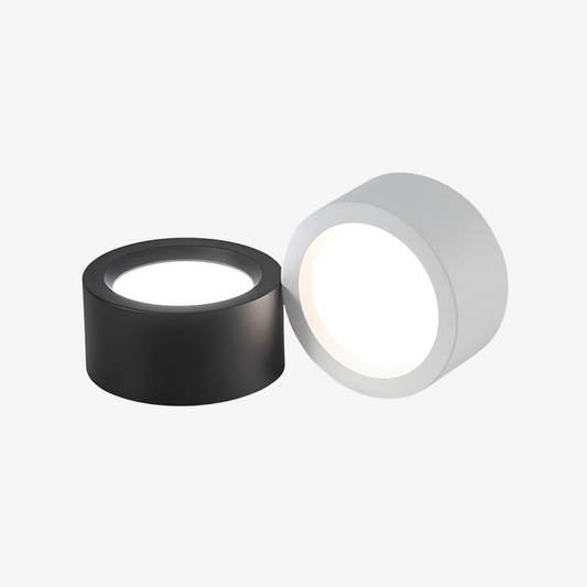 Puncto Ceiling Light