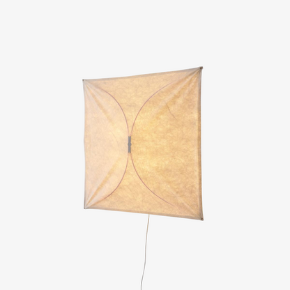 Kite Wall & Ceiling Light