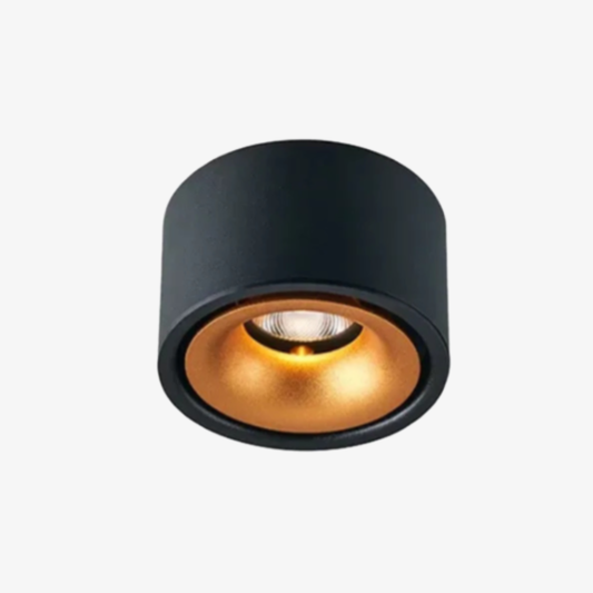 Surface Mount LED Spotlight with Anti-Glare Deep Recess - Industrial Style