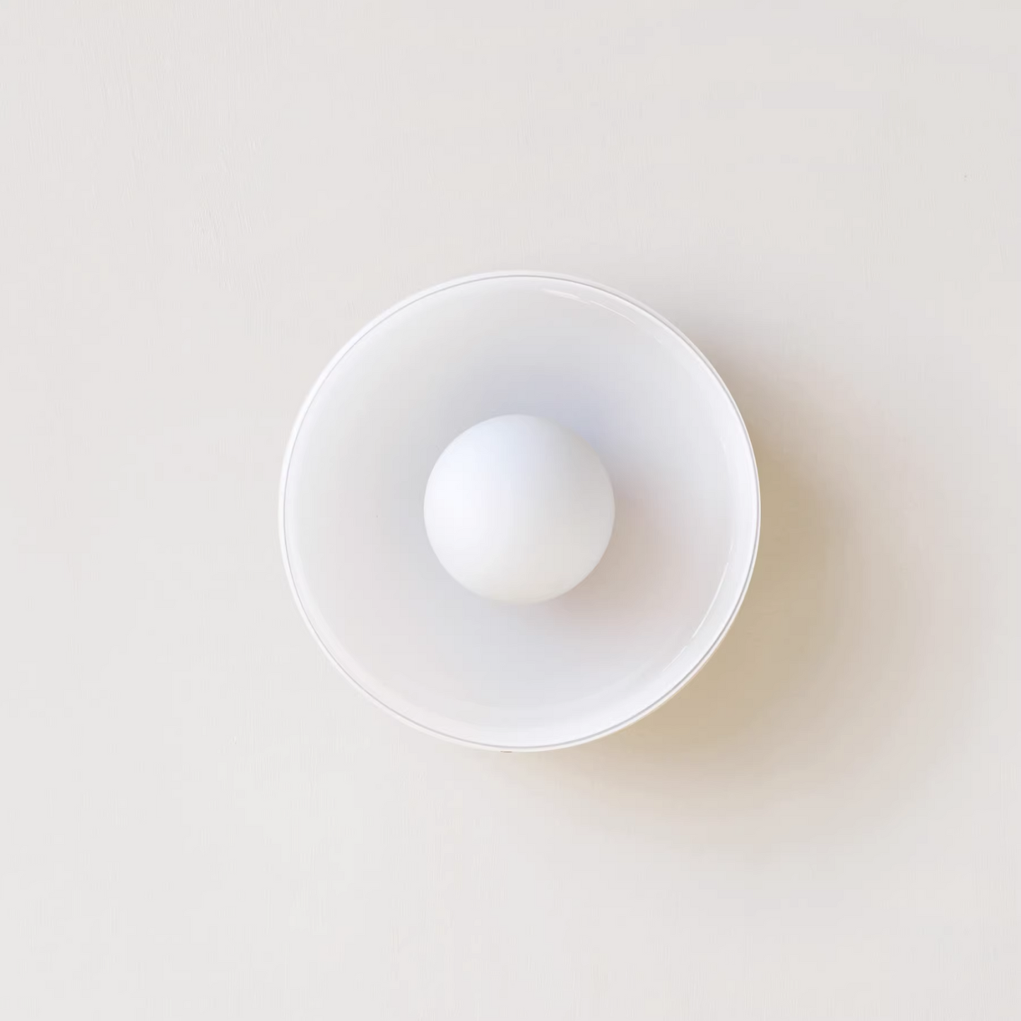 Sonnet Wall & Ceiling Light